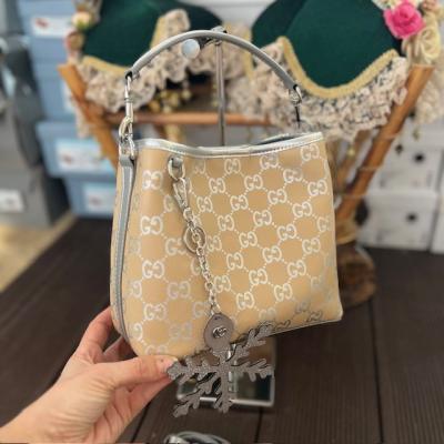 GCC GÜMÜŞ BEJ ÇANTA-2