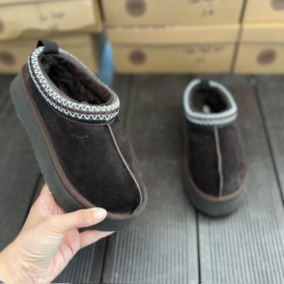 UGG ACIKAHVE TAZZ